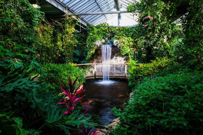 Butterfly Conservatory