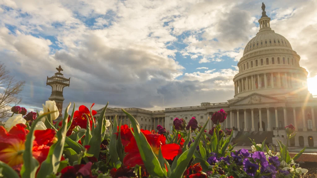 U.S. Capitol in Washington, D.C., a top educational travel destination for schools