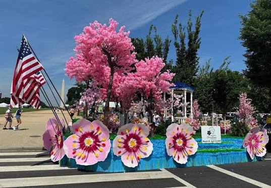 cherry-Blossom-Parade