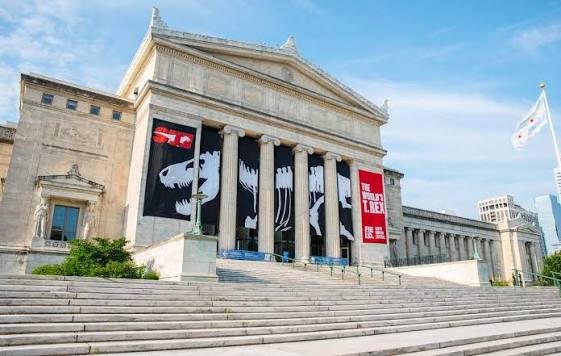 Field Museum