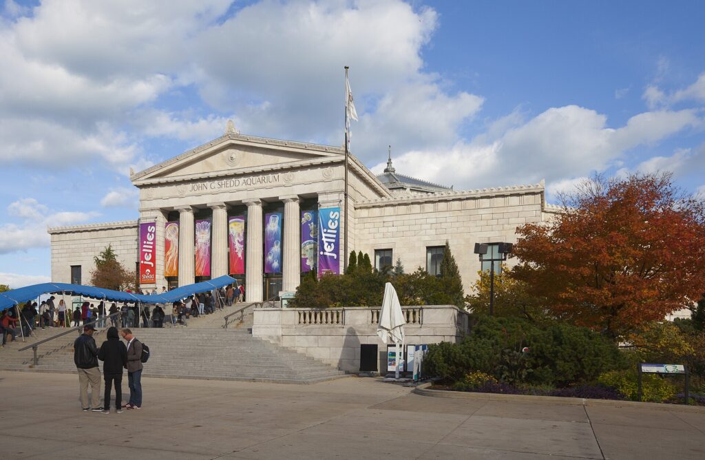 Acuario Shedd, Chicago, Illinois, Estados Unidos, 2012 10 21, DD 03