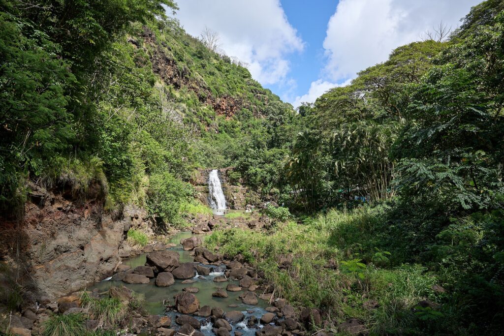 Waimea Falls, Oʻahu (2024) 104A4148