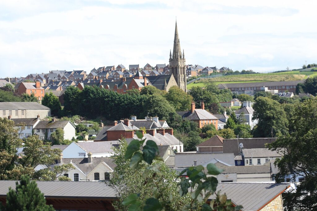 Downpatrick view (02), August 2009