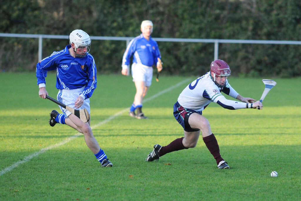Defence Forces Hurling (4118765107)