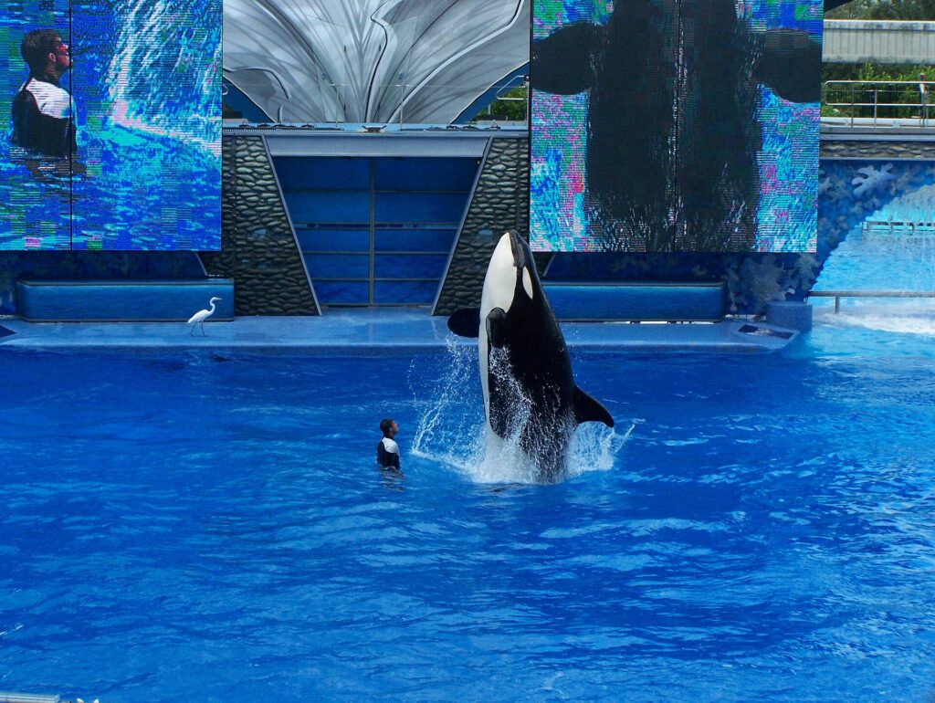 SeaWorld Orlando066